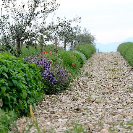 Agriturismo2Laghi Ponti sul Mincio Zewnętrze zdjęcie
