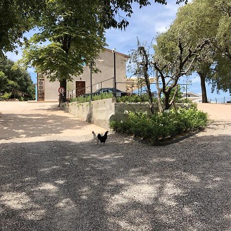 Agriturismo2Laghi Ponti sul Mincio Zewnętrze zdjęcie