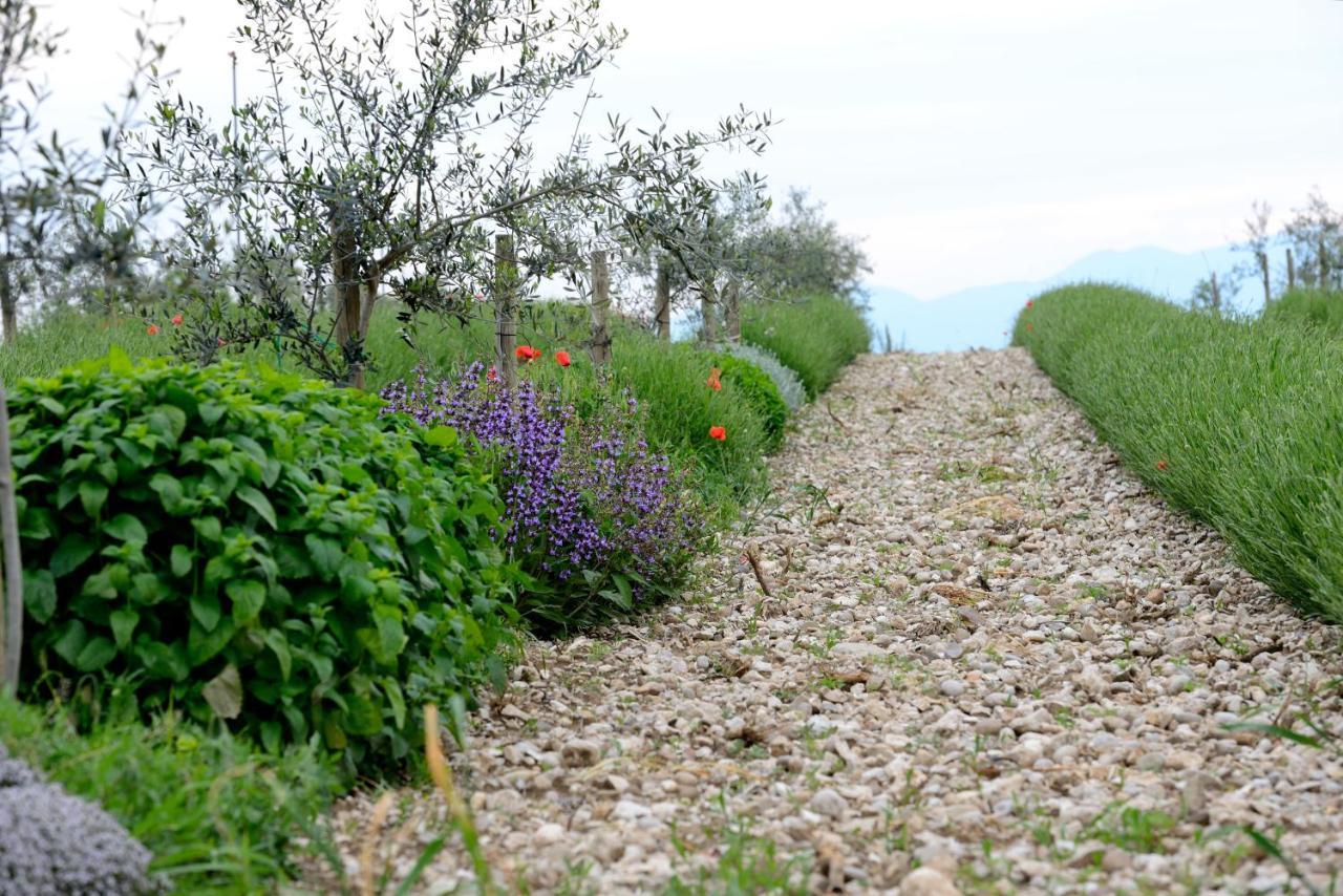 Agriturismo2Laghi Ponti sul Mincio Zewnętrze zdjęcie